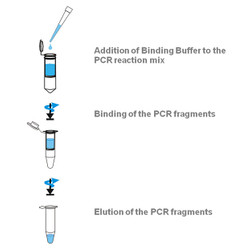 innuPREP PCRpure 96 Kit