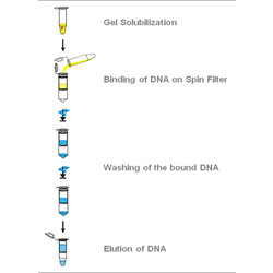innuPREP Gel Extraction Kit