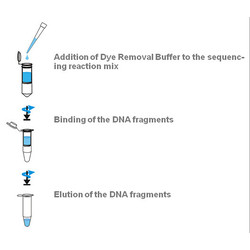 innuPREP DYEpure Kit