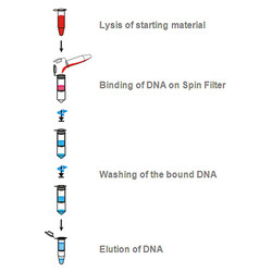 innuPREP DNA Mini Kit