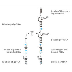 innuPREP DNA/RNA Mini Kit
