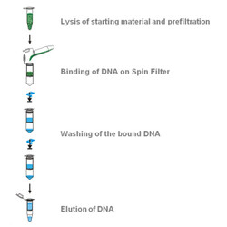 innuPREP Plant DNA Kit