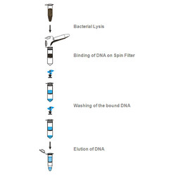 innuPREP Bacteria DNA Kit