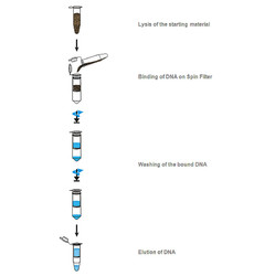 innuPREP Mycobacteria DNA Kit
