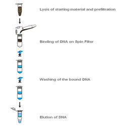 innuPREP Stool DNA Kit