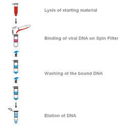 innuPREP Virus DNA Kit