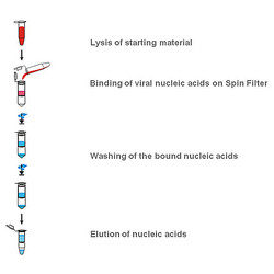 innuPREP Virus DNA/RNA Kit