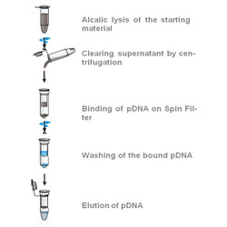 innuPREP Plasmid Mini Kit