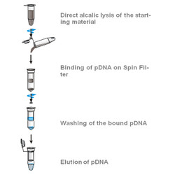 innuPREP Plasmid Small Kit