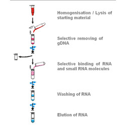 innuPREP Micro RNA Kit