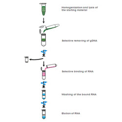 innuSPEED Soil DNA Kit
