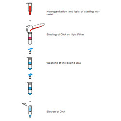 innuSPEED Stool DNA Kit