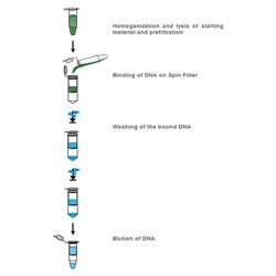 innuSPEED Plant DNA Kit