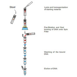 innuSPEED Tissue DNA Kit